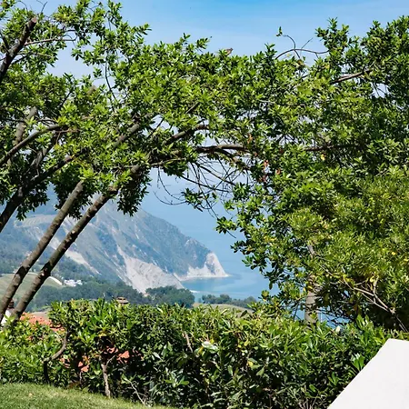 Le Relais Du Lierre 招待所 Poggio (Marche)